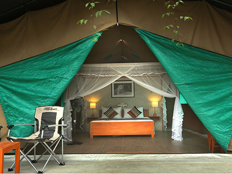 Wilpattu <br>From $1,100(Double Tent)