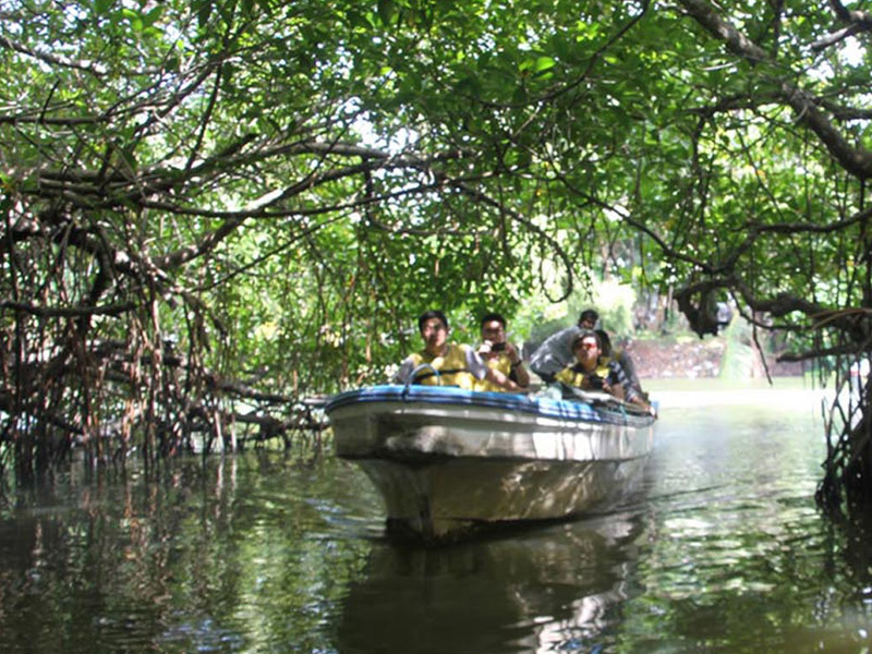 River Safari