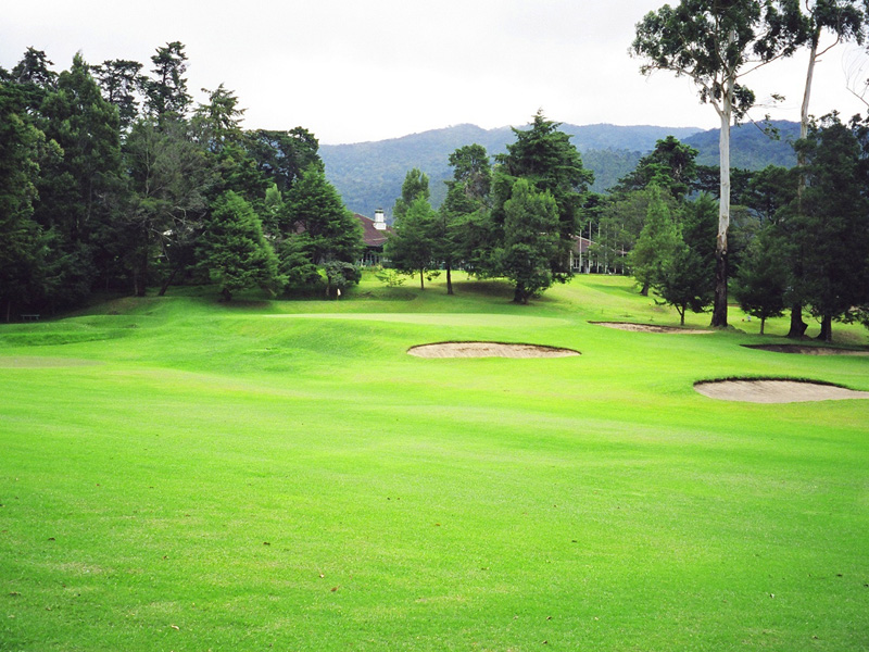 Golfing