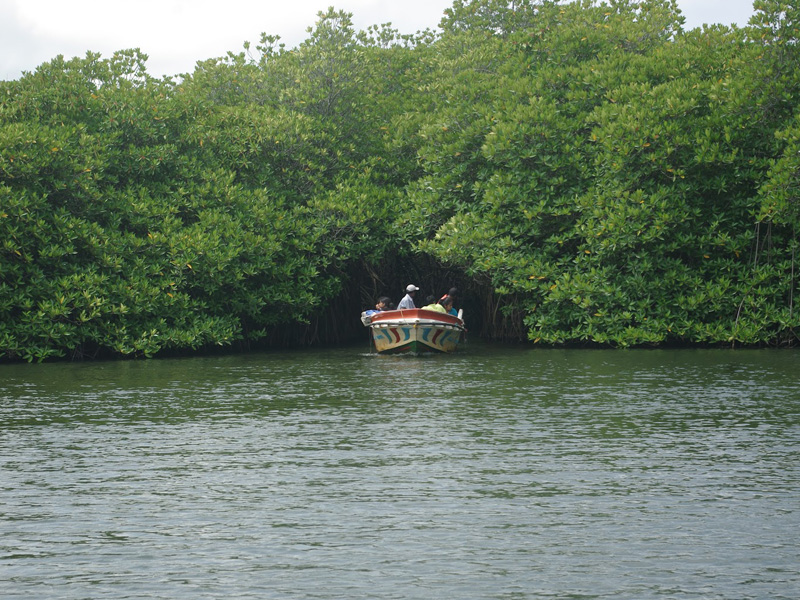 River Safari