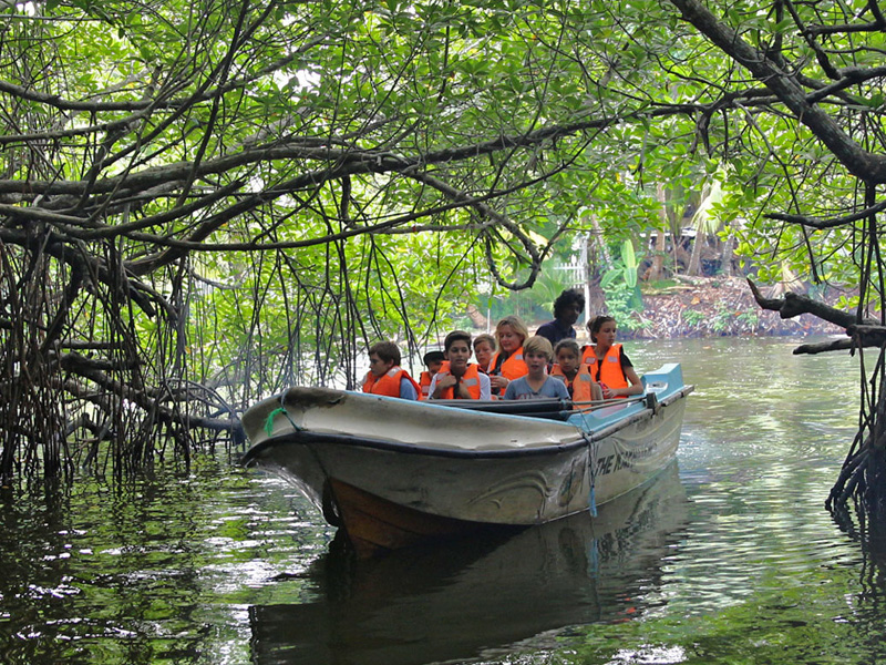 River Safari