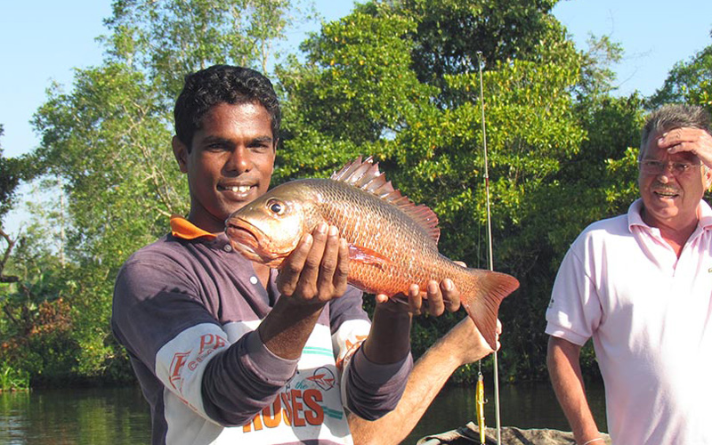 Lagoon Fishing (Half day)