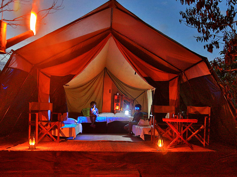 Yala <br>From $1,100(Double Tent)