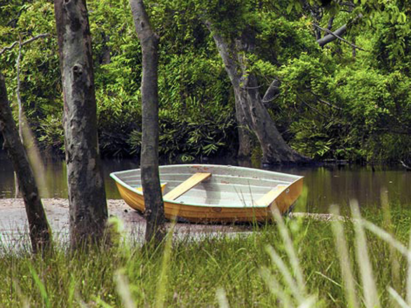 Wilpattu <br>From $1,100(Double Tent)