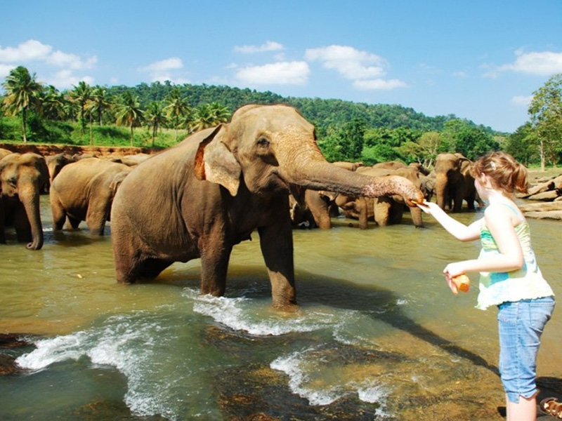 TWO DAY TOUR â€“ OPTION 02 <br>From $220pp