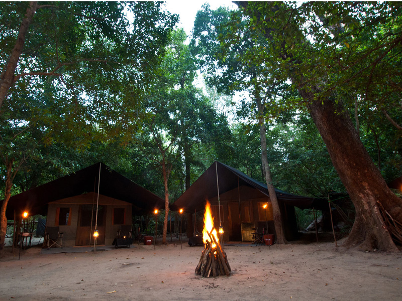 Wasgamuwa <br>From $1,000(Double Tent)