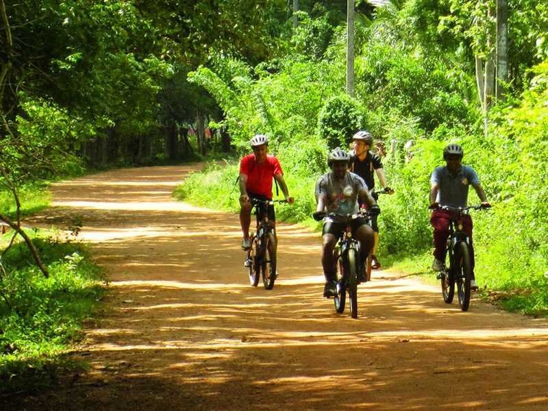 Cycling 